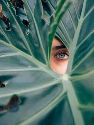 Palm Oil vs Olive Oil Soap